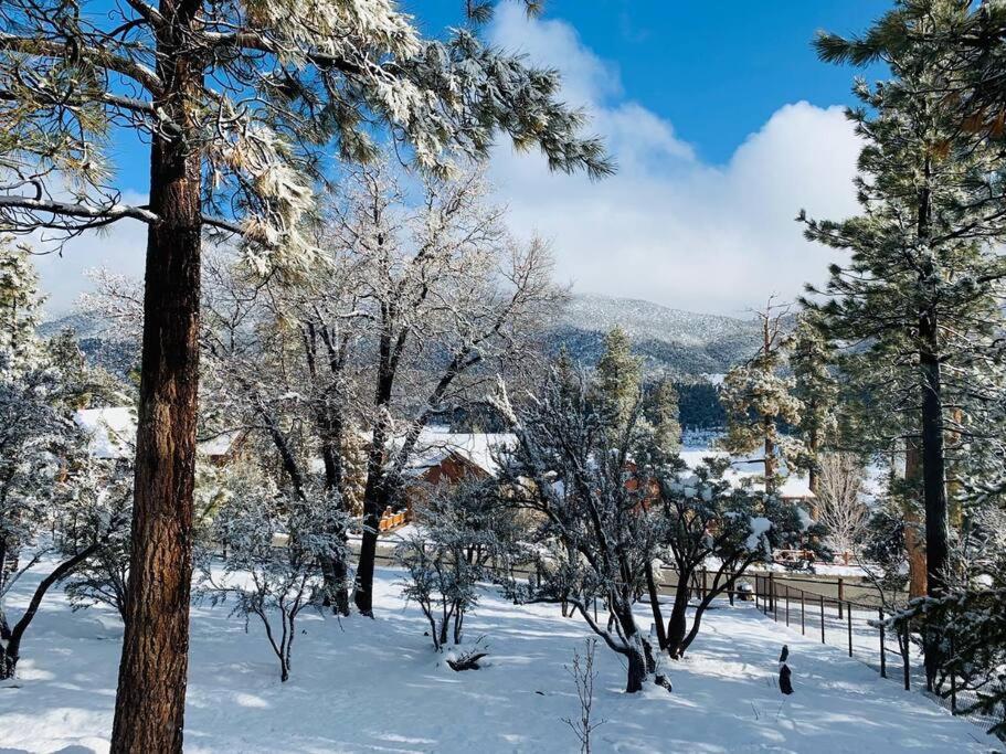 Custom Single Story Cabin With Jacuzzi Pool Table & Big Game Room With Arcade Games Big Bear Lake Εξωτερικό φωτογραφία